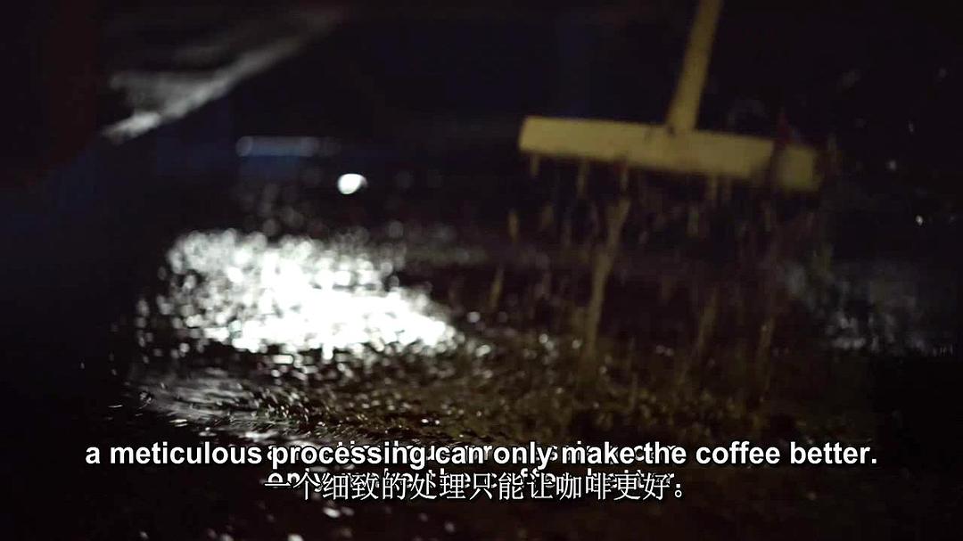 一部关于咖啡的电影 A Film about Coffee插图7