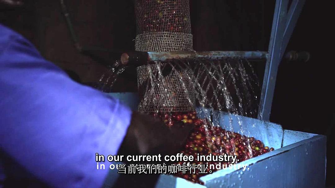 一部关于咖啡的电影 A Film about Coffee插图8