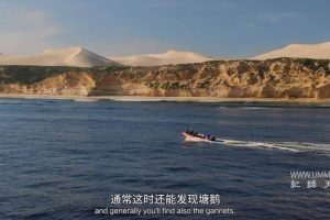 海洋天才小猎手 Genius Sea Hunters