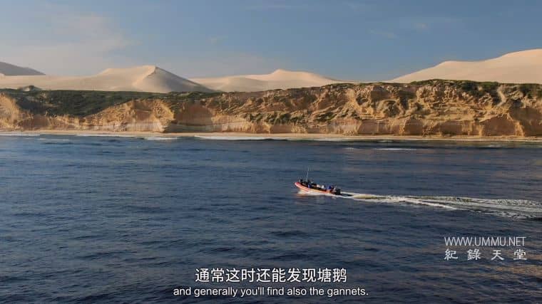 海洋天才小猎手 Genius Sea Hunters插图1