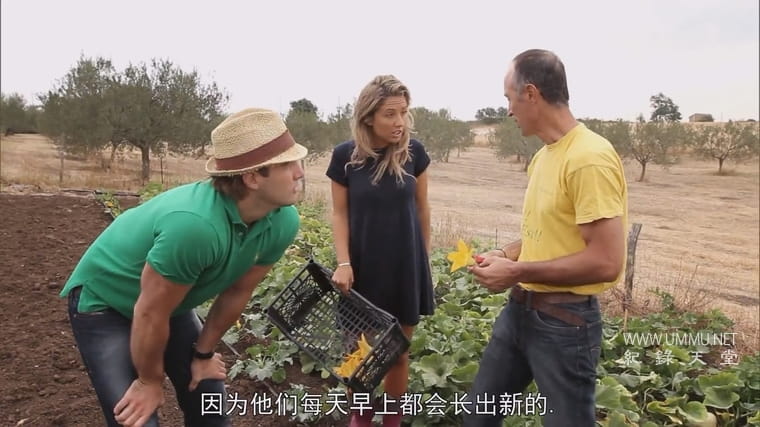 意大利美味邂逅 When Patrick Met Kylie: A Love of Food Story插图3