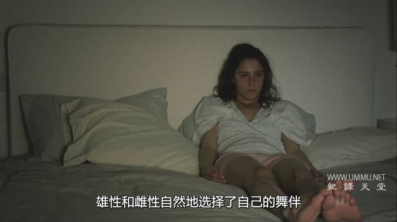 艾登堡 Attenberg插图3