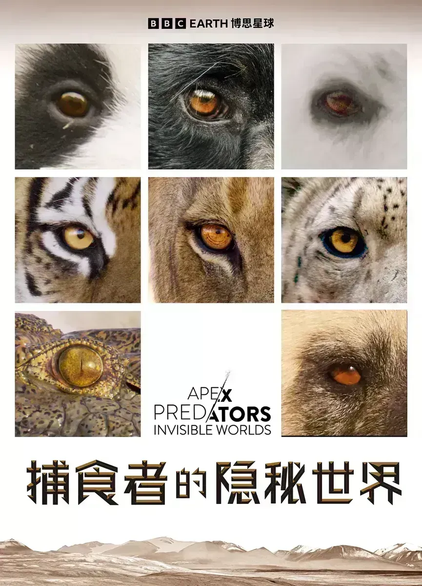 捕食者的隐秘世界 Apex Predators: Invisible Worlds插图