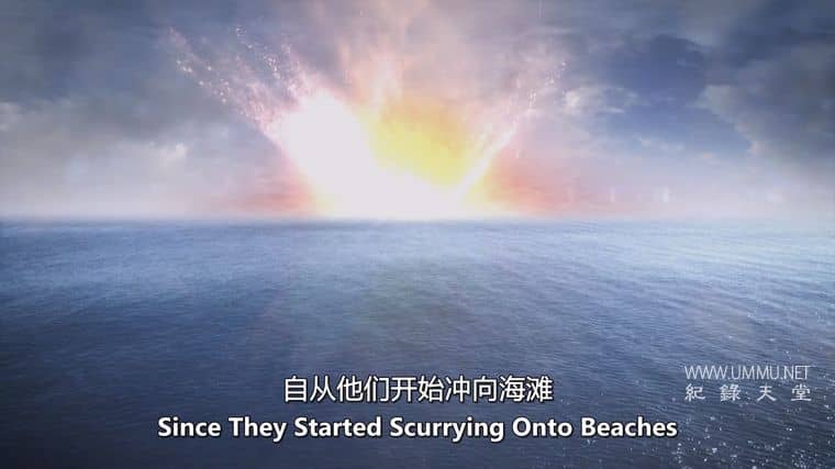 远古海洋 Ancient Oceans插图2