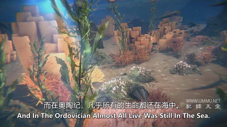 远古海洋 Ancient Oceans插图4