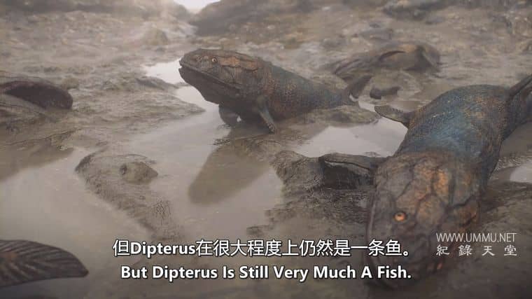 远古海洋 Ancient Oceans插图5