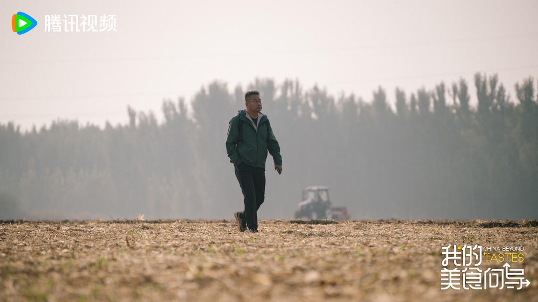 我的美食向导插图6