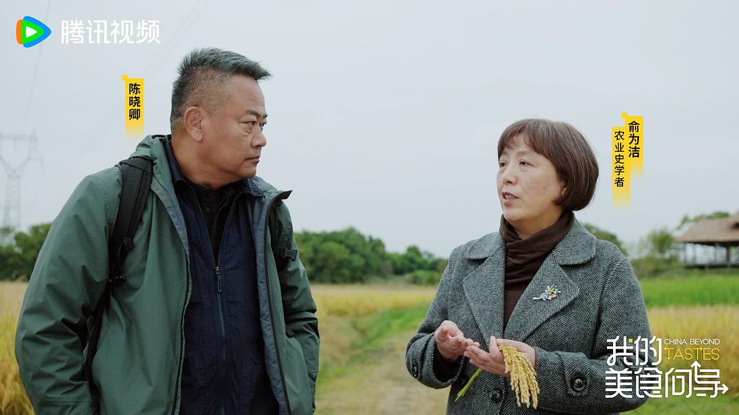 我的美食向导插图15