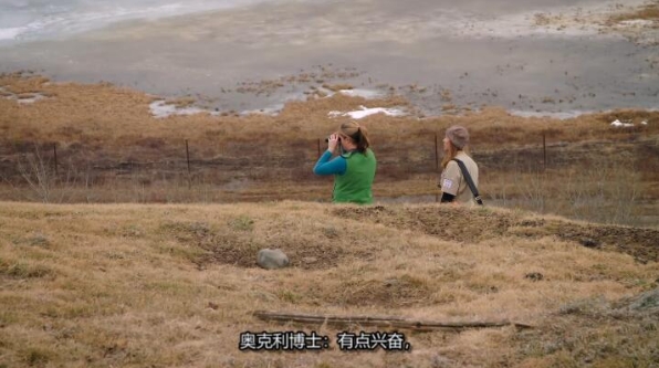 动物侠医/育空兽医 第4季  Dr. Oakley, Yukon Vet插图1