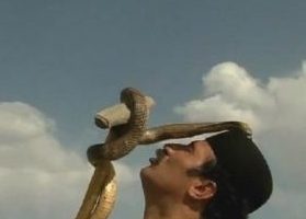 伊朗蛇王 The Snake Sultan