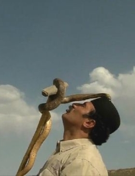 伊朗蛇王 The Snake Sultan插图