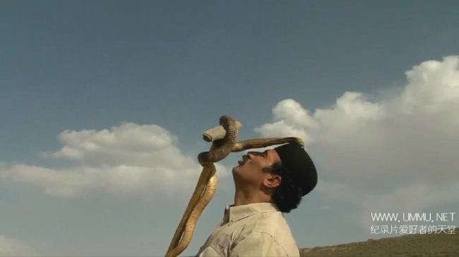 伊朗蛇王 The Snake Sultan插图2