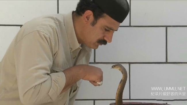 伊朗蛇王 The Snake Sultan插图4