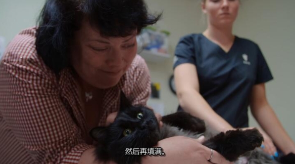 动物侠医/育空兽医  第7季  Dr. Oakley, Yukon Vet插图4