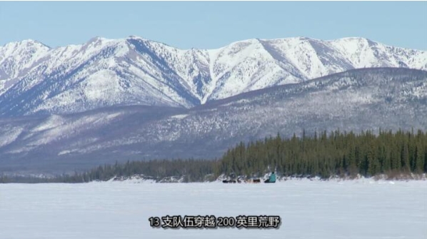 动物侠医/育空兽医 第2季  Dr. Oakley, Yukon Vet插图1