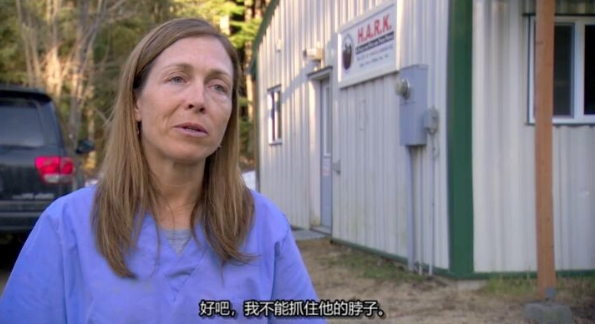 动物侠医/育空兽医 第2季  Dr. Oakley, Yukon Vet插图4