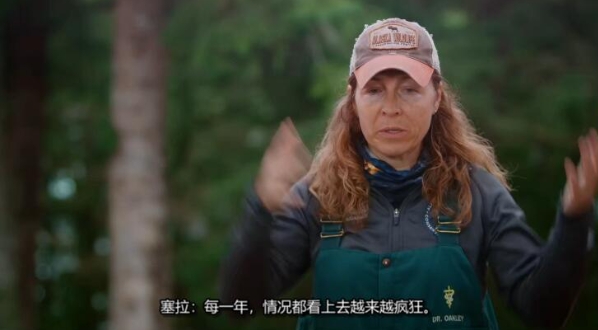动物侠医/育空兽医  第9季  Dr. Oakley, Yukon Vet插图3
