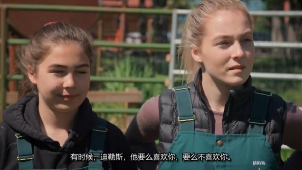 动物侠医/育空兽医 第8季  Dr. Oakley, Yukon Vet插图1