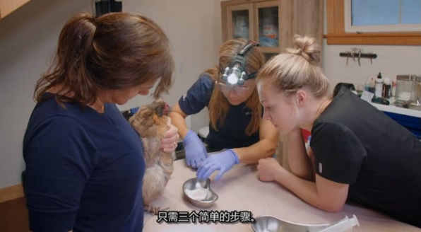 动物侠医/育空兽医 第8季  Dr. Oakley, Yukon Vet插图4