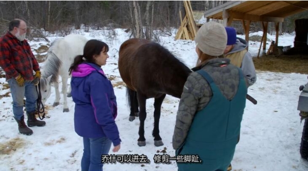 动物侠医/育空兽医  第6季  Dr. Oakley, Yukon Vet插图2