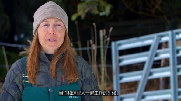 动物侠医/育空兽医  第6季  Dr. Oakley, Yukon Vet插图3