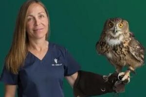 动物侠医/育空兽医  第1季  Dr. Oakley, Yukon Vet