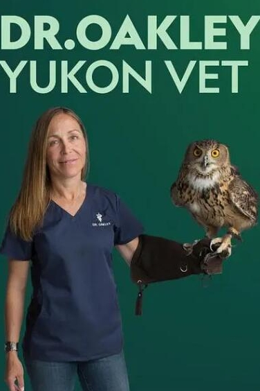 动物侠医/育空兽医  第1季  Dr. Oakley, Yukon Vet插图