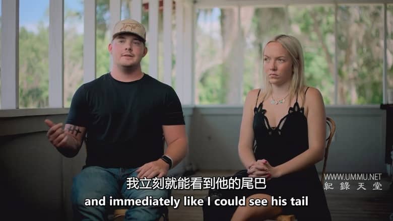 红海鲨鱼袭击 Attack of the Red Sea Sharks插图4