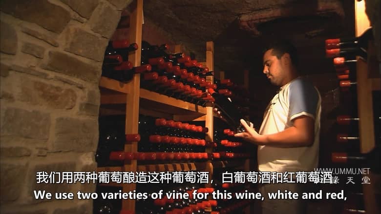 发现世界 Discovering the World插图1