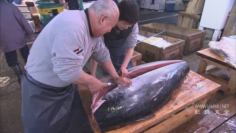 发现世界 Discovering the World插图7