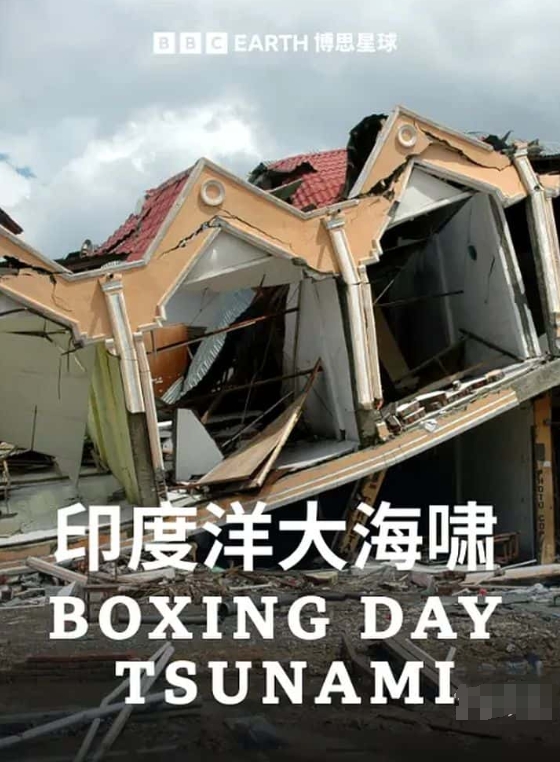 节礼日海啸 Boxing Day Tsunami插图