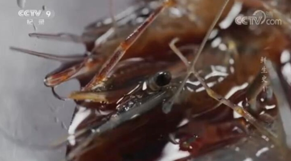 鲜生史 第1季插图2