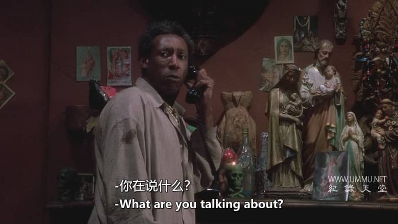 鬼娃纪实 Doc of Chucky插图3