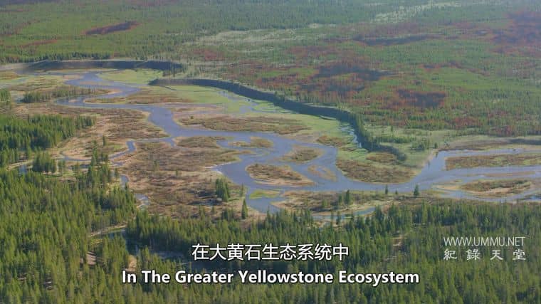 古黄石公园 Ancient Yellowstone插图2