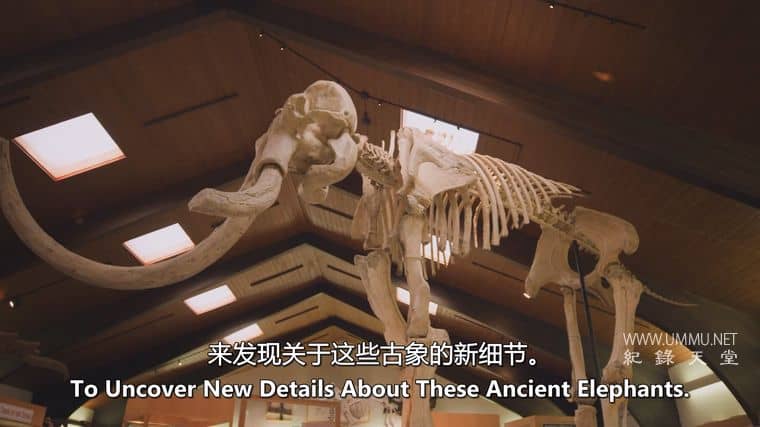 古黄石公园 Ancient Yellowstone插图4