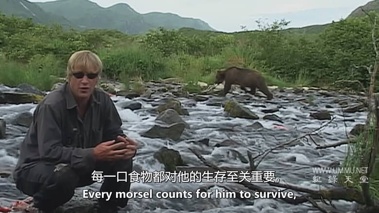 灰熊人日记系列 Diary Of The Grizzly Man: Series插图1