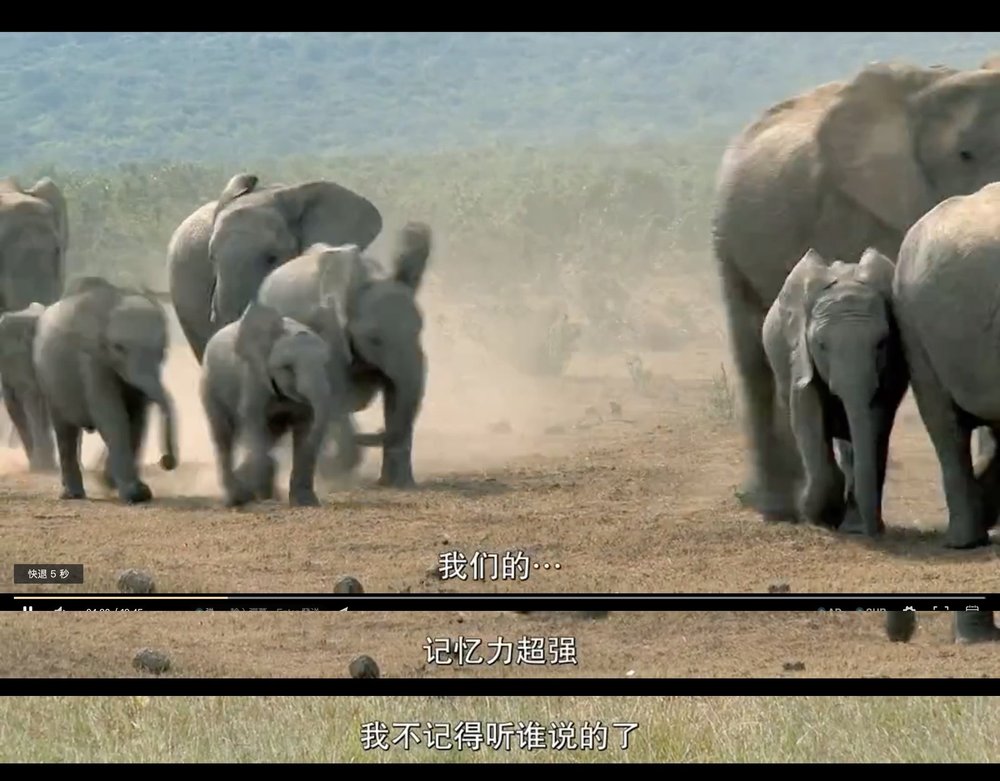 怪诞星球 Absurd Planet插图3