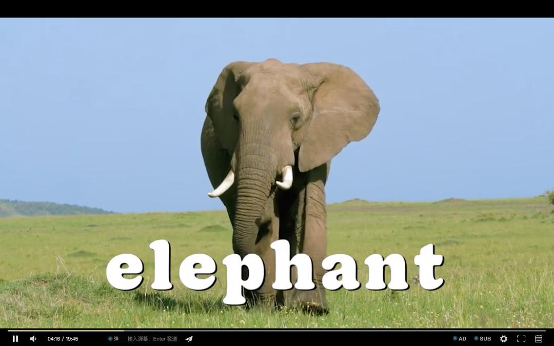 怪诞星球 Absurd Planet插图8