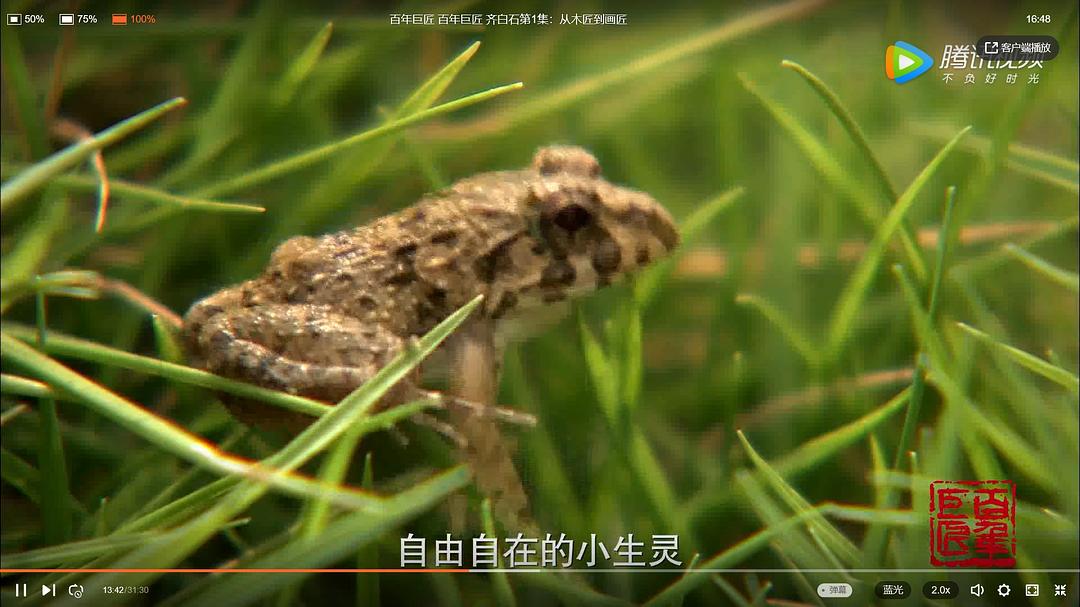 百年巨匠 美术篇第一部插图2