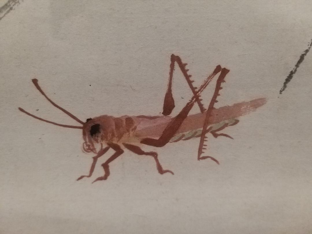 百年巨匠 美术篇第一部插图4