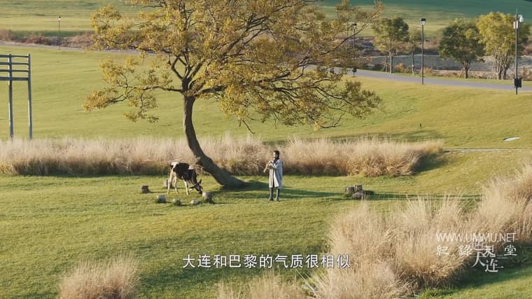 遇见大连 A Date with Dalian插图3