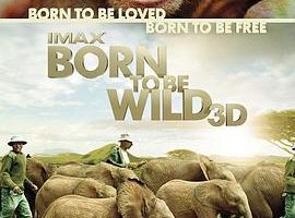 天生狂野 Born to Be Wild