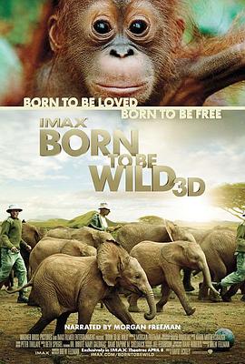 天生狂野 Born to Be Wild插图