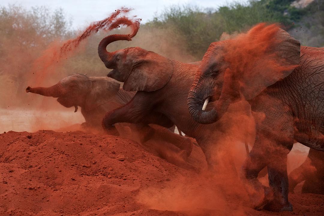 天生狂野 Born to Be Wild插图2