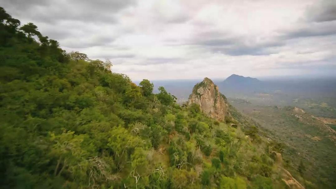 天生狂野 Born to Be Wild插图5