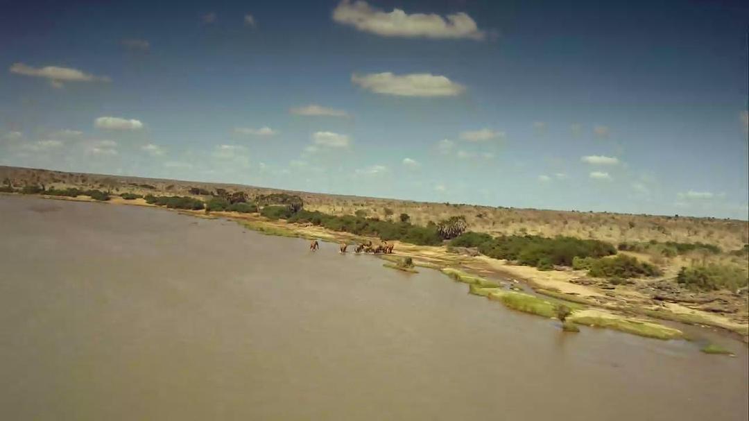 天生狂野 Born to Be Wild插图6