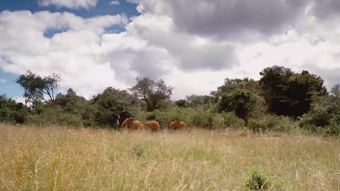 天生狂野 Born to Be Wild插图7