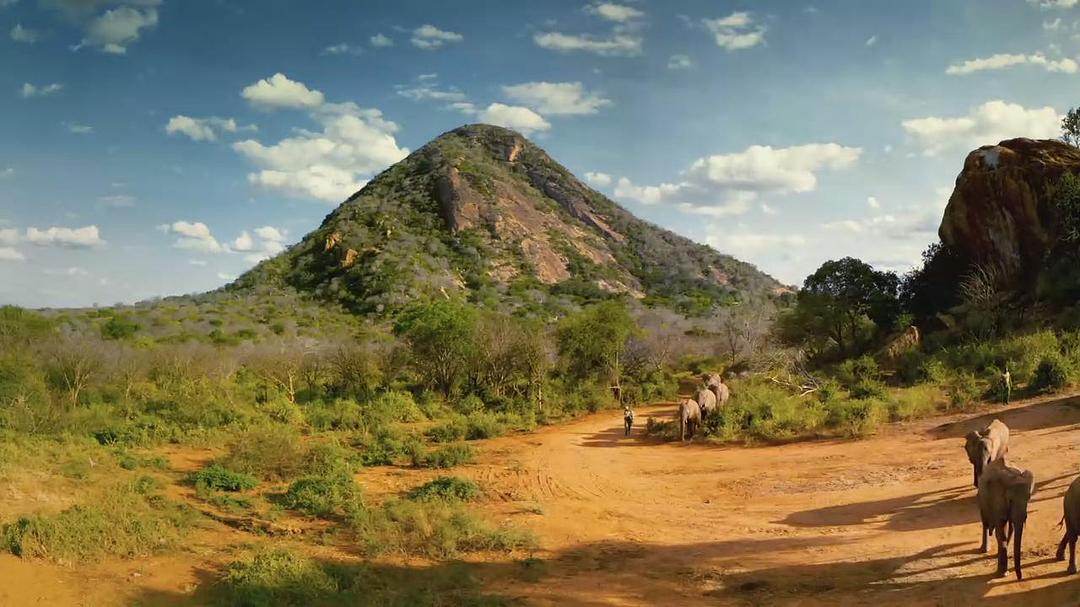 天生狂野 Born to Be Wild插图9