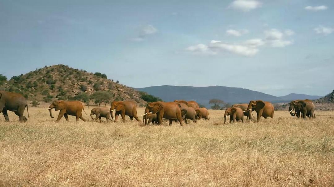 天生狂野 Born to Be Wild插图10