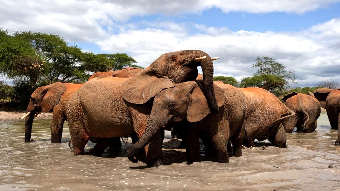 天生狂野 Born to Be Wild插图11